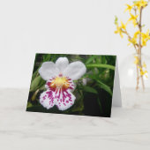 Orchid Kaart (Gele Bloem)