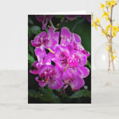 Orchid, kaart (Gele Bloem)