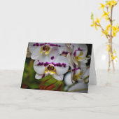 Orchid, kaart (Gele Bloem)