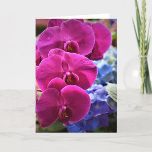 Orchid, kaart