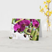 Orchid, kaart (Gele Bloem)