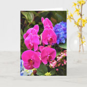 Orchid, kaart (Gele Bloem)