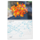 Orchid Kalender (Feb 2027)