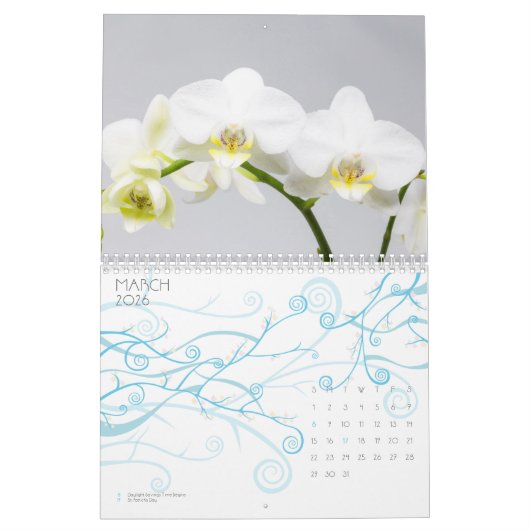 Orchid Kalender (Mar 2026)