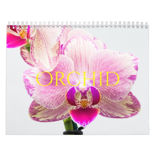 Orchid Kalender (Hoes)
