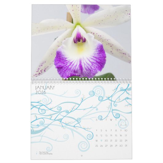 Orchid Kalender (Jan 2026)