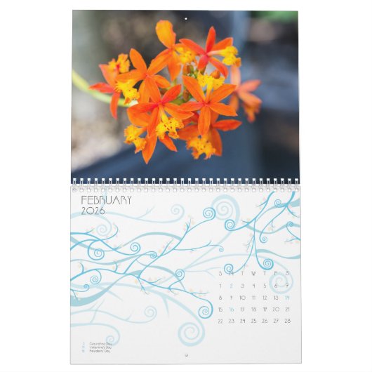 Orchid Kalender (Feb 2026)