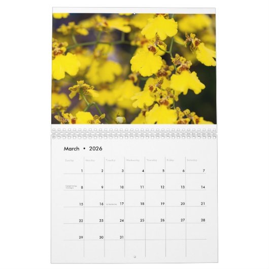 Orchid Kalender (Mar 2026)