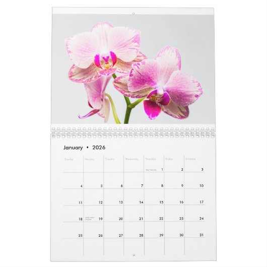Orchid Kalender (Jan 2026)