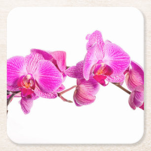 Orchid Kartonnen Onderzetters
