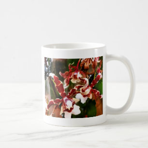 Orchid Koffiemok
