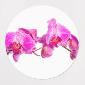 Orchid Labels (Design 1)