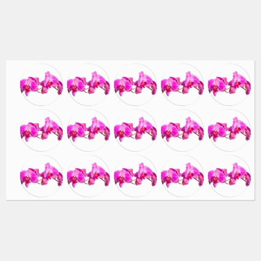 Orchid Labels (Vel)