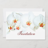 Orchid Love_ Kaart (Voorkant)