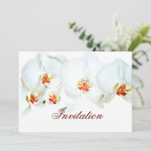 Orchid Love_ Kaart (Staand voorkant)