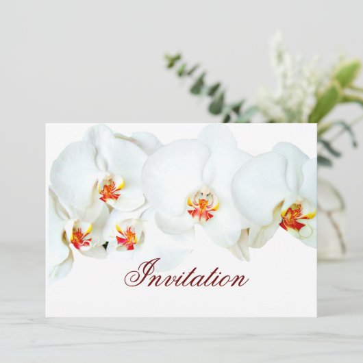 Orchid Love_ Kaart (Staand voorkant)