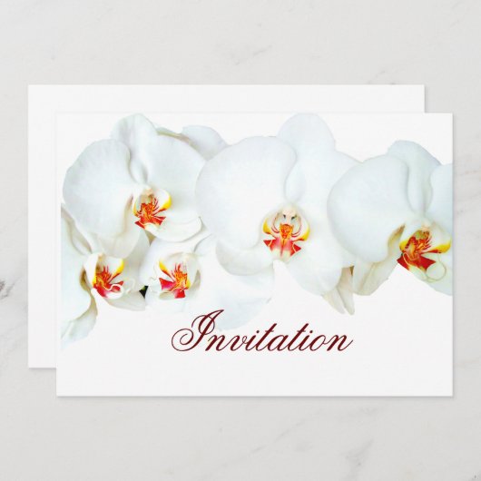 Orchid Love_ Kaart (Voorkant / Achterkant)