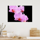 Orchid Love Poster (Keuken)