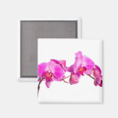 Orchid Magneet (Voorkant / Achterkant)