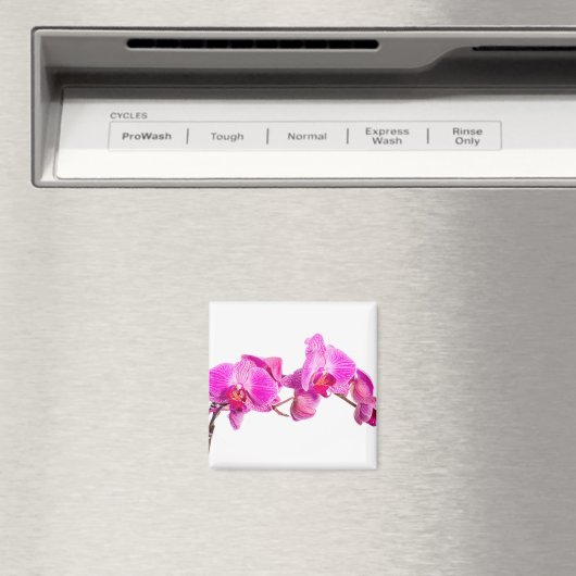 Orchid Magneet (Insitu (Vaatwasser))