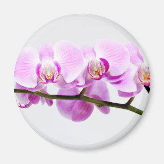 orchid magneet