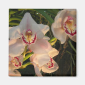 Orchid Magneet (Voorkant)