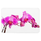 Orchid Magneet (Horizontaal)