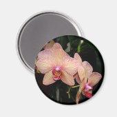 Orchid Magnet (Voorkant / Achterkant)