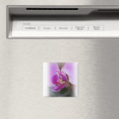 Orchid Magnet (Insitu (Vaatwasser))