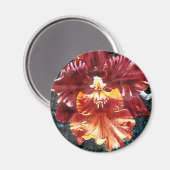 Orchid Magnet (Voorkant / Achterkant)