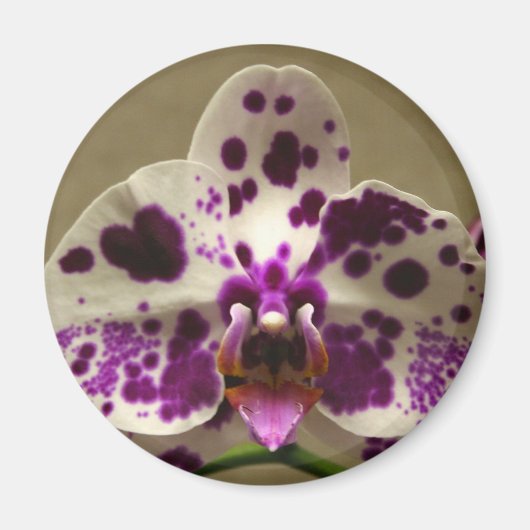 Orchid magnet (Voorkant)