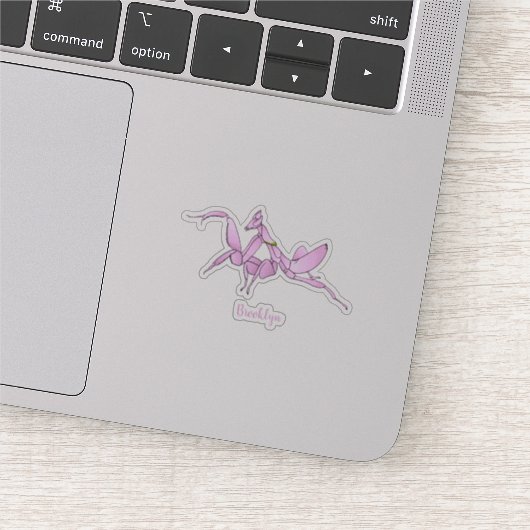 Orchid mantis cartoon illustratie sticker (Detail)