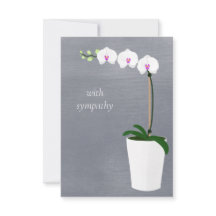Orchid | Met sympathie