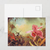 Orchid met twee Hummingbird's, mooi kunstschilderi Briefkaart (Voorkant / Achterkant)