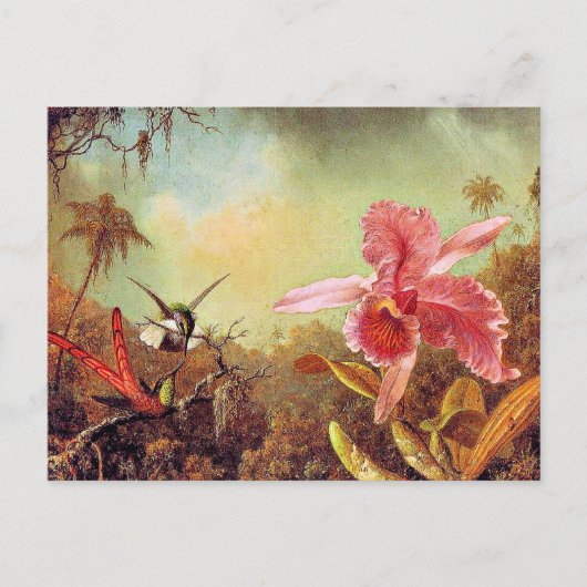 Orchid met twee Hummingbird's, mooi kunstschilderi Briefkaart (Voorkant)