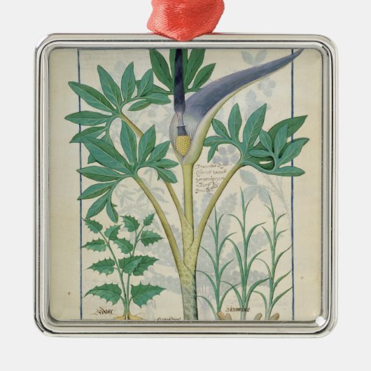 Orchid Metalen Ornament (Voorkant)