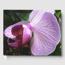 Orchid: Mind Edition Gastenboek