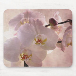 Orchid mousepad muismat