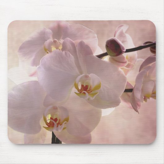 Orchid mousepad muismat (Voorkant)