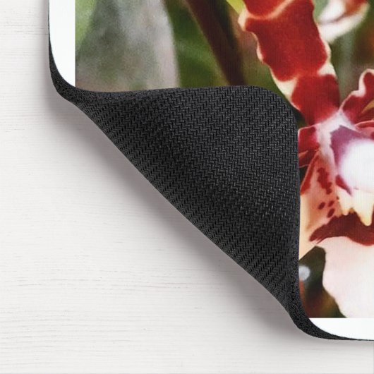 Orchid Muismat (Hoek)