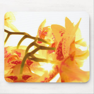 Orchid Muismat