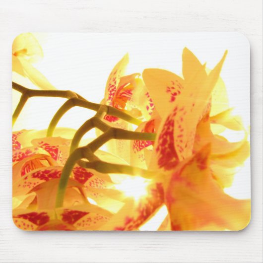 Orchid Muismat (Voorkant)