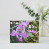 Orchid — Nationale Bloem van Costa Rica Briefkaart (Staand voorkant)