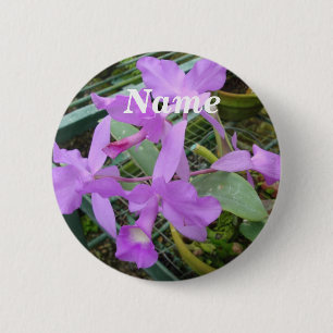 Orchid — Nationale Bloem van Costa Rica, Naam Ta Ronde Button 5,7 Cm