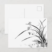 Orchid Nobility Briefkaart (Voorkant / Achterkant)