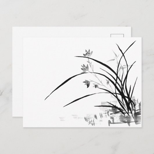 Orchid Nobility Briefkaart (Voorkant / Achterkant)