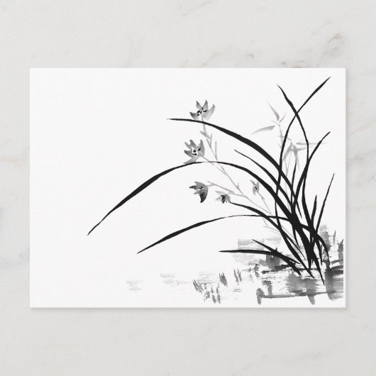 Orchid Nobility Briefkaart (Voorkant)