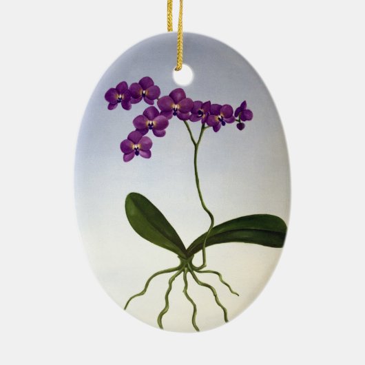 Orchid Ornament (Achterkant)