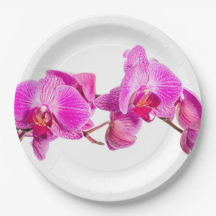Orchid Papieren Bordje