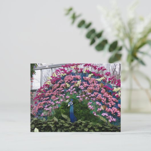Orchid Peacock Briefkaart (Staand voorkant)